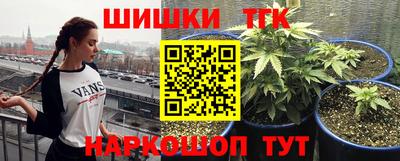 МДПВ Тара
